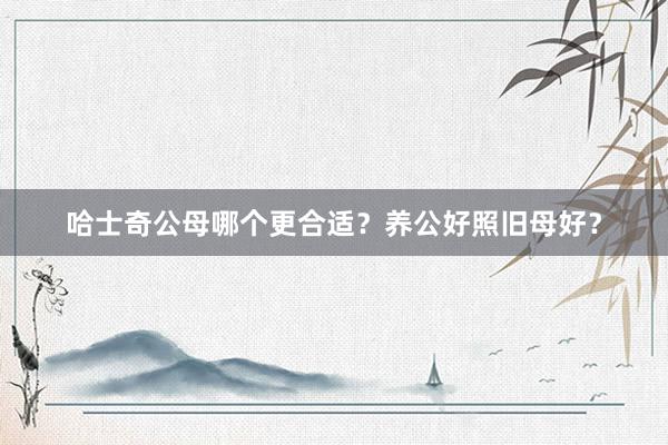 哈士奇公母哪个更合适？养公好照旧母好？