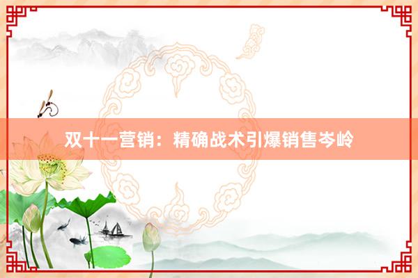双十一营销：精确战术引爆销售岑岭